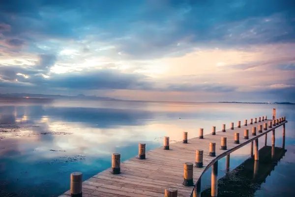 网名芫荽含义及寓意是什么