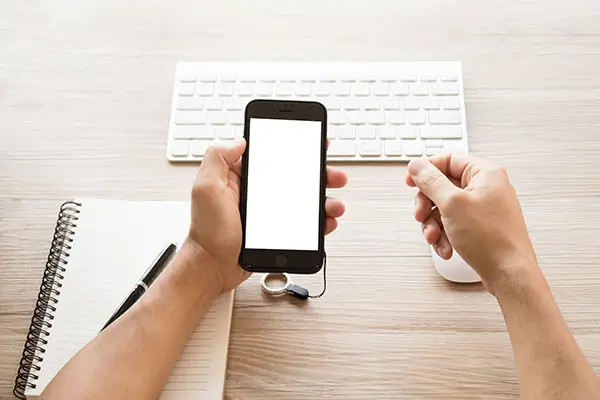 情侣网名笨鸡蛋是什么含义